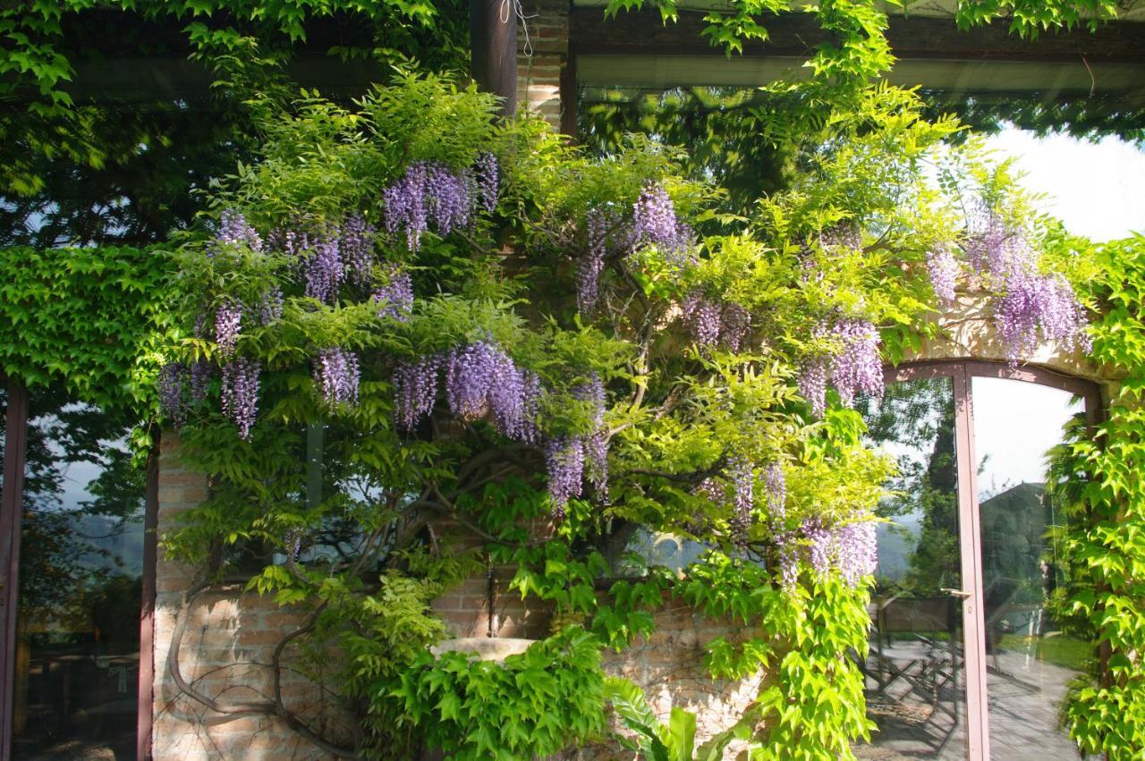 Villa La Casa Sopra Le Nuvole Medesano Exterior foto